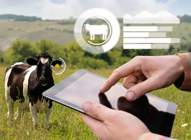 AI-Based Farm Monitoring